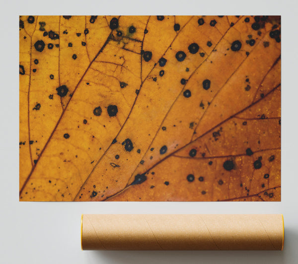 Golden Leaf Veins Giclee Print