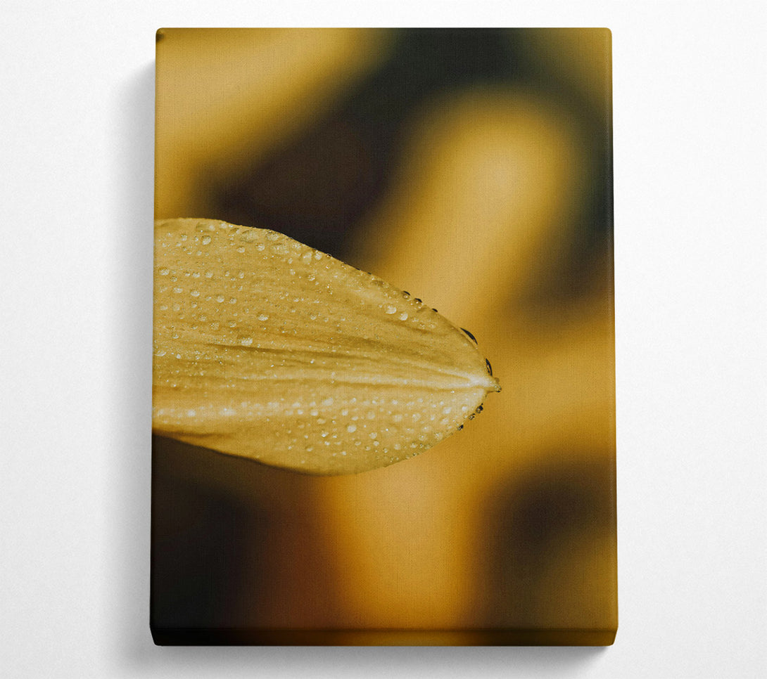  A Canvas Print of Golden Dewdrop Petal Canvas Art