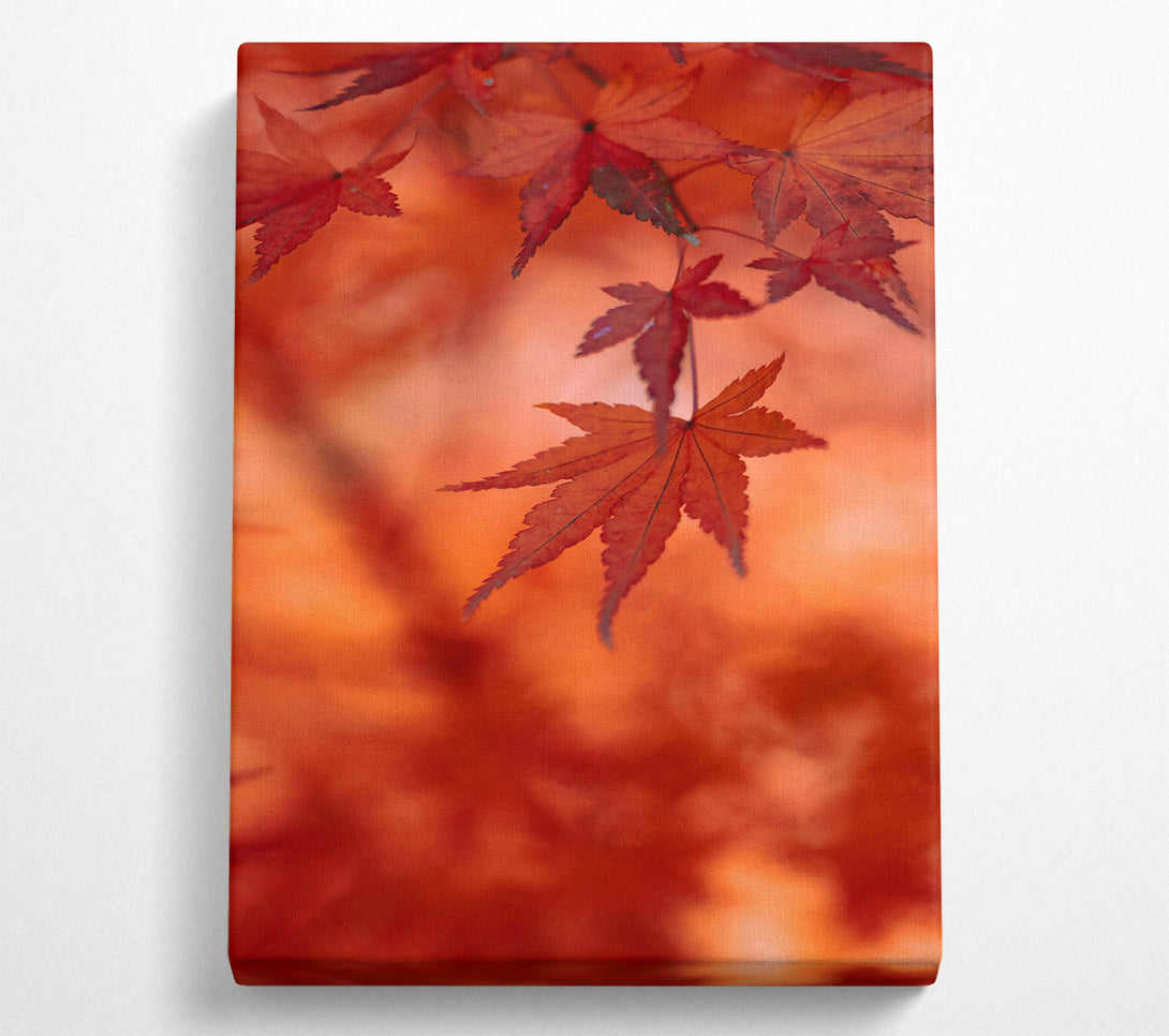  A Canvas Print of Crimson Autumn Leaves Canvas Wall Art