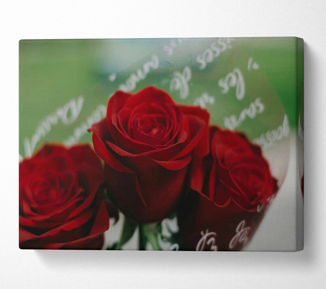  A Canvas Print of Crimson Rose Embrace Canvas Print
