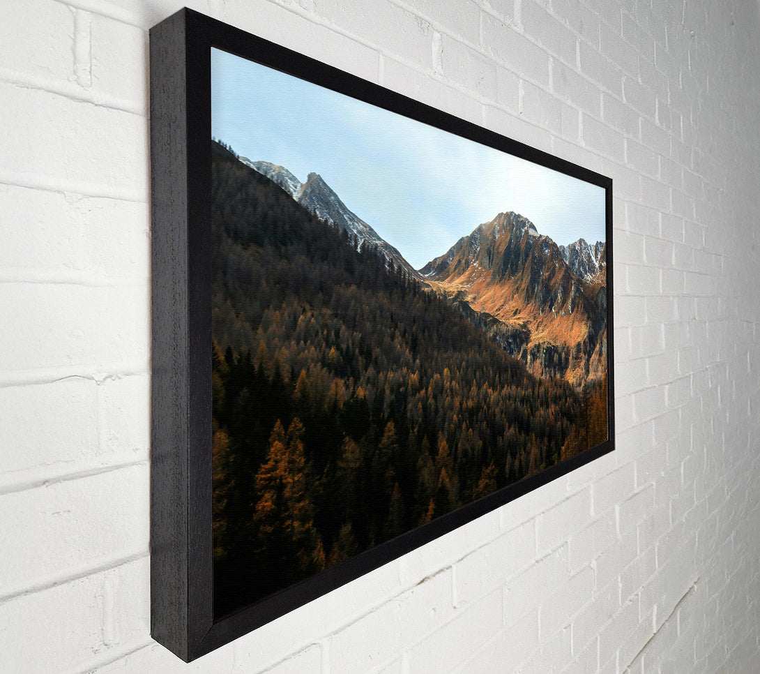  A Canvas Print of Brown Mountain Valley Canvas Art