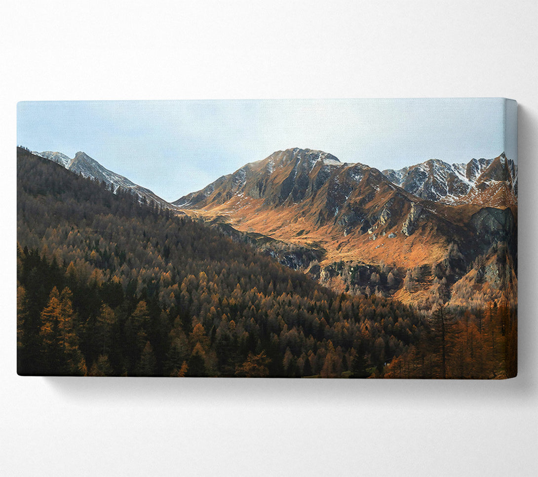  A Canvas Print of Brown Mountain Valley Canvas Art