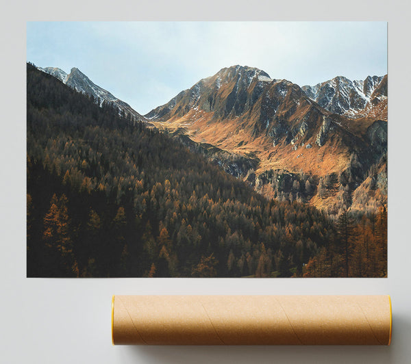 Brown Mountain Valley Print