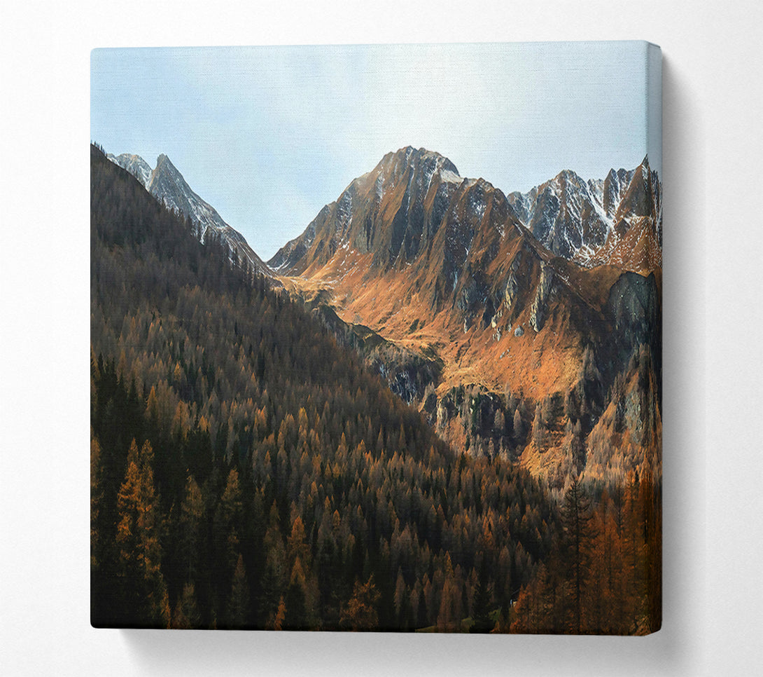  A Canvas Print of Brown Mountain Valley Canvas Art
