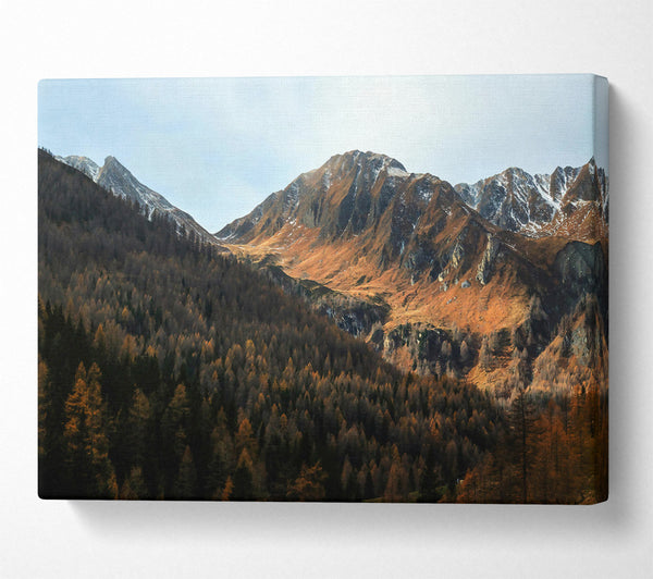  A Canvas Print of Brown Mountain Valley Canvas Art