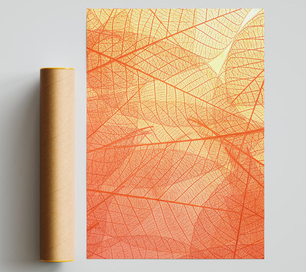 Coral Leaf Veins Poster