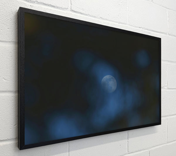 Blue Moon'S Embrace