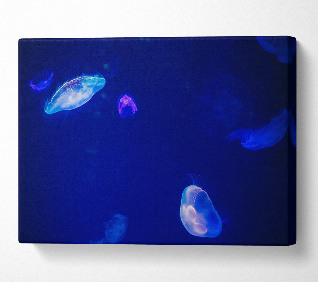  A Canvas Print of Loading... Canvas Print