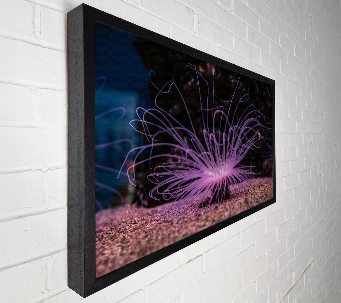  A Canvas Print of Lavender Sea Bloom Canvas Art