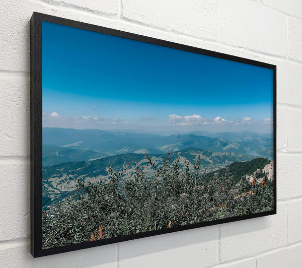Blue Mountain Vista