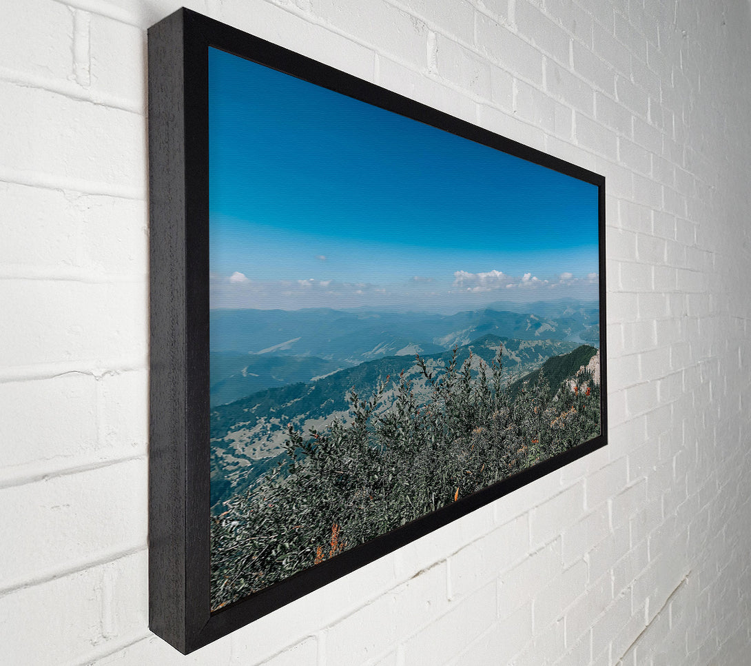  A Canvas Print of Blue Mountain Vista Canvas Wall Art