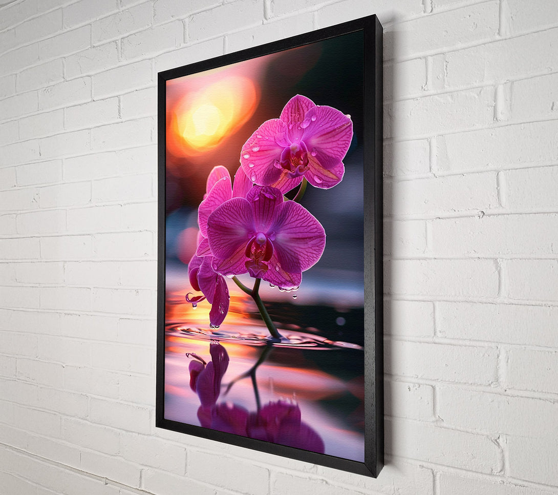  A Canvas Print of Pink Orchid Reflection Canvas Print