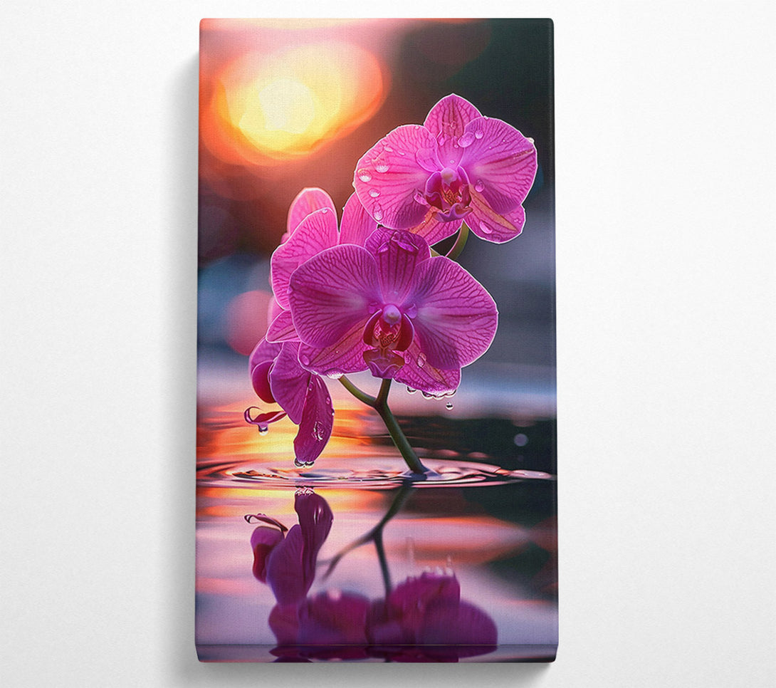  A Canvas Print of Pink Orchid Reflection Canvas Print