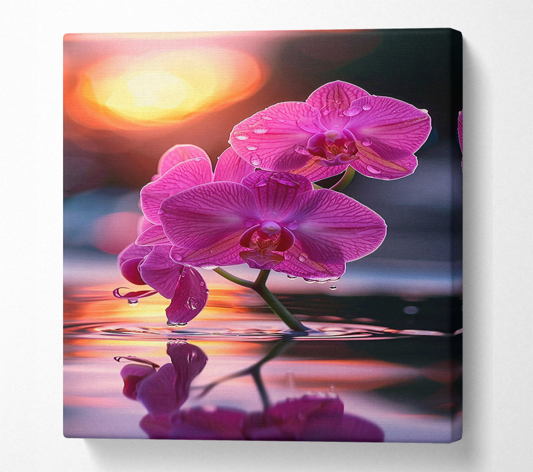  A Canvas Print of Pink Orchid Reflection Canvas Print