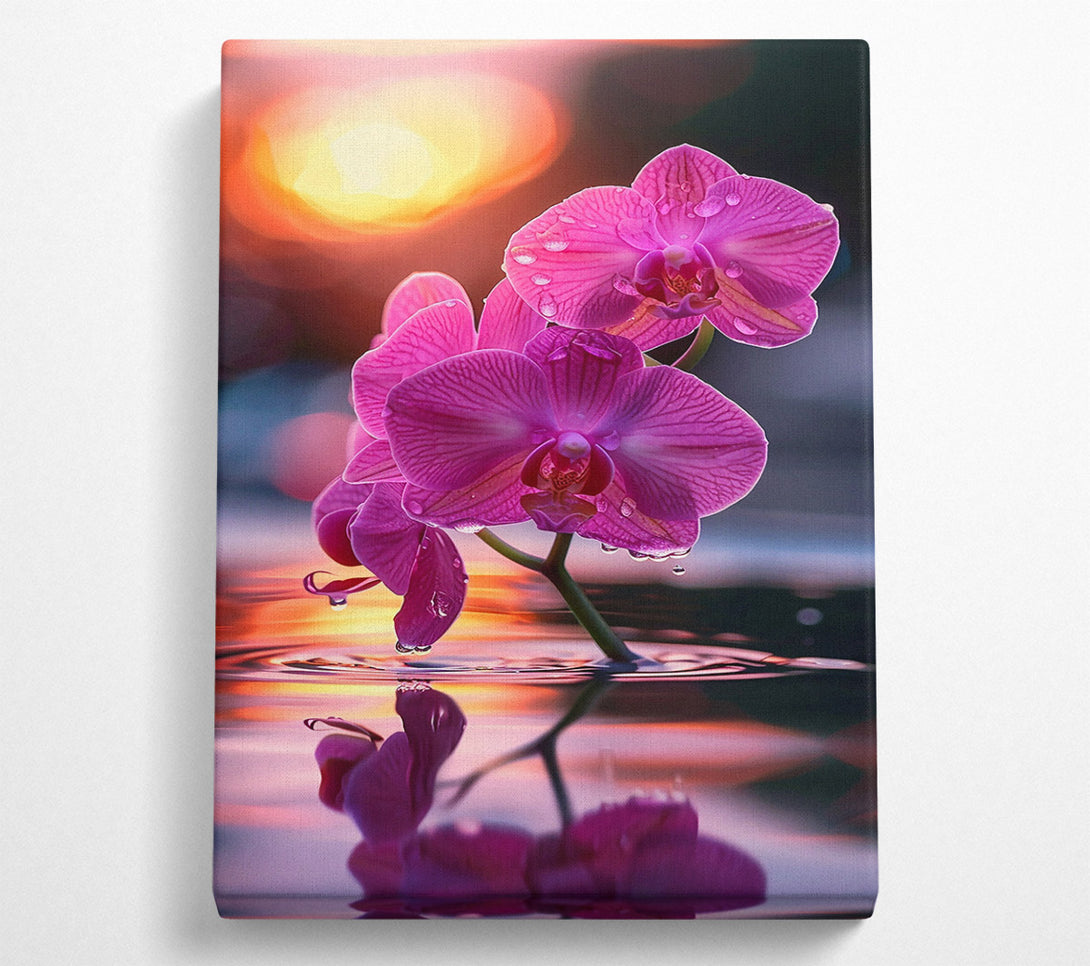  A Canvas Print of Pink Orchid Reflection Canvas Print