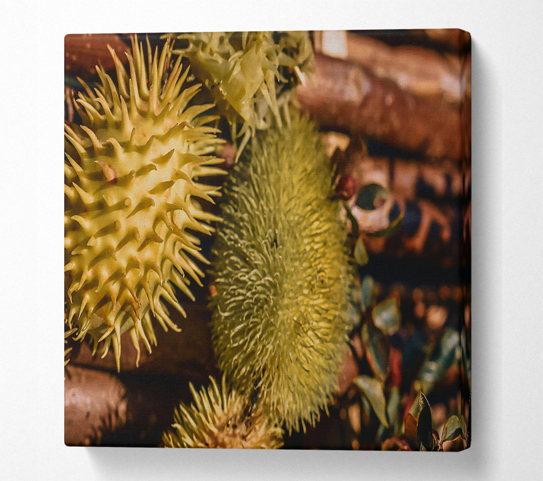  A Canvas Print of Golden Spiky Forms Canvas Print