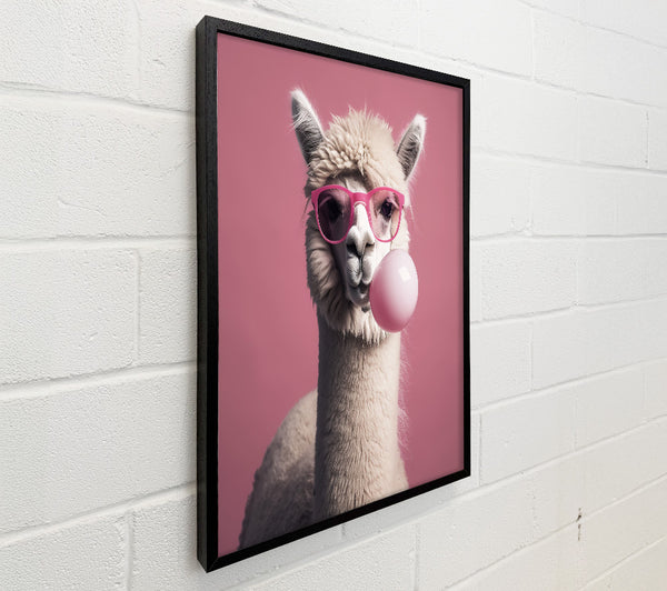 Alpaca Pink Bubble Gum