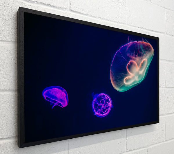 Neon Blue Jellyfish