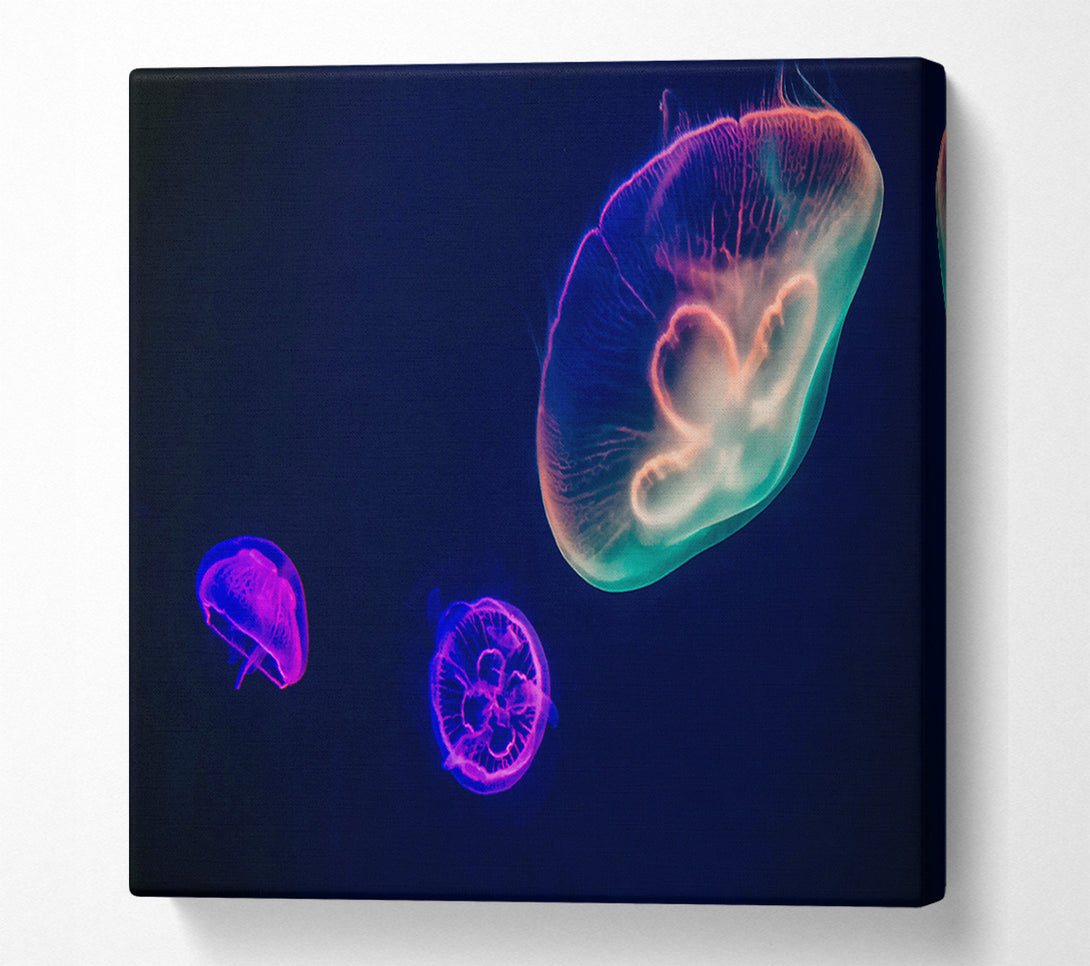  A Canvas Print of Neon Blue Jellyfish Canvas Wall Art