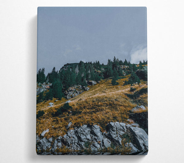  A Canvas Print of Grey Mountainside Pines Canvas Wall Art