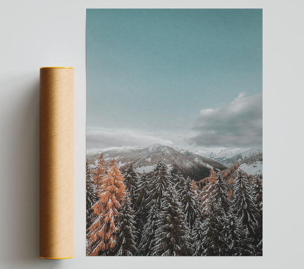 Orange Hues In Winter Poster