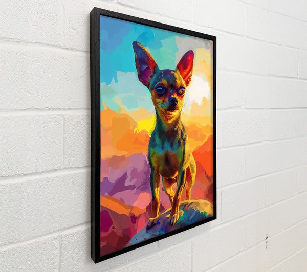 Orange Sunset Pup