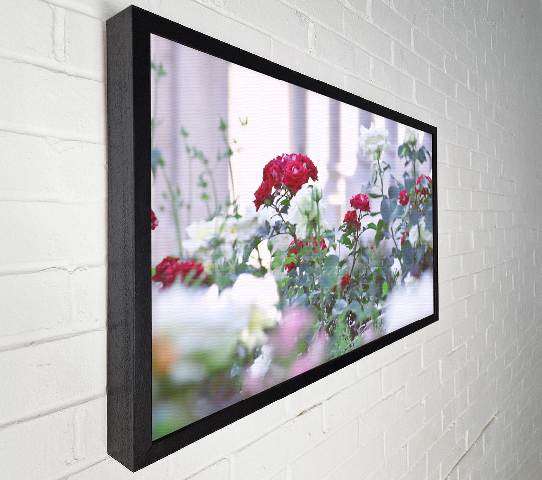  A Canvas Print of Crimson Garden Bloom Canvas Wall Art