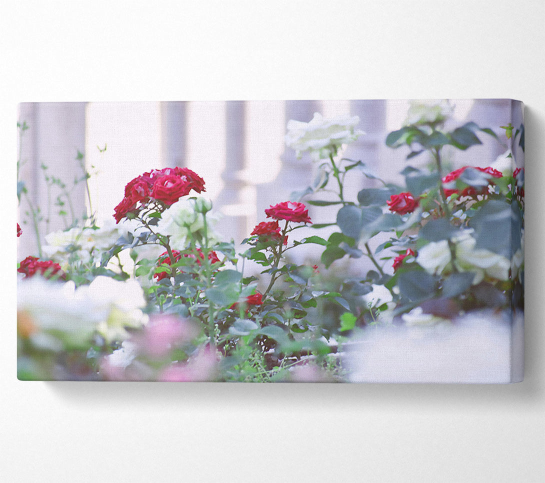  A Canvas Print of Crimson Garden Bloom Canvas Wall Art