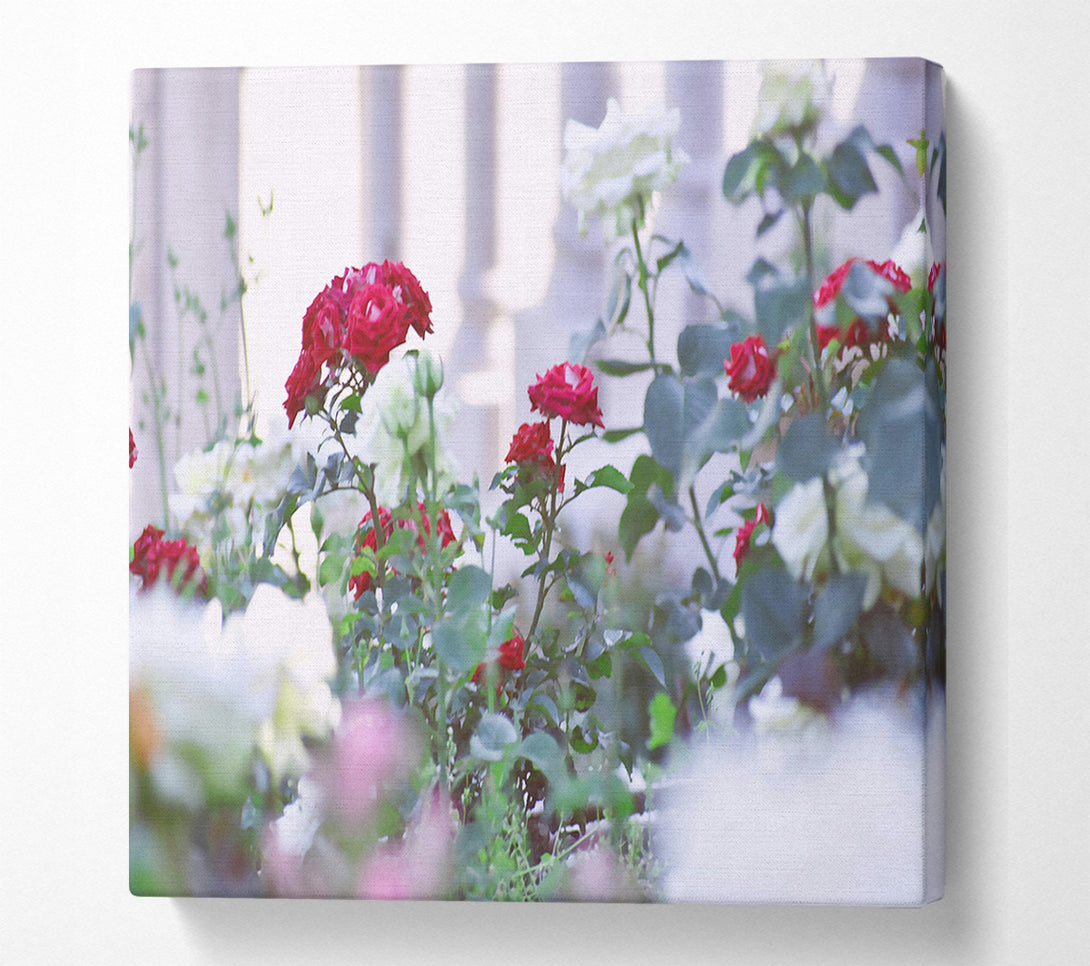  A Canvas Print of Crimson Garden Bloom Canvas Wall Art