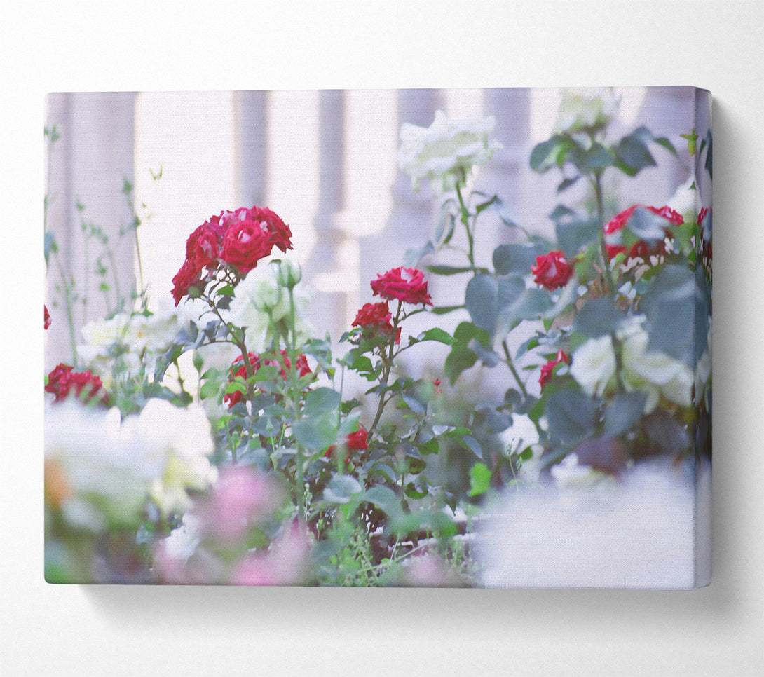  A Canvas Print of Crimson Garden Bloom Canvas Wall Art