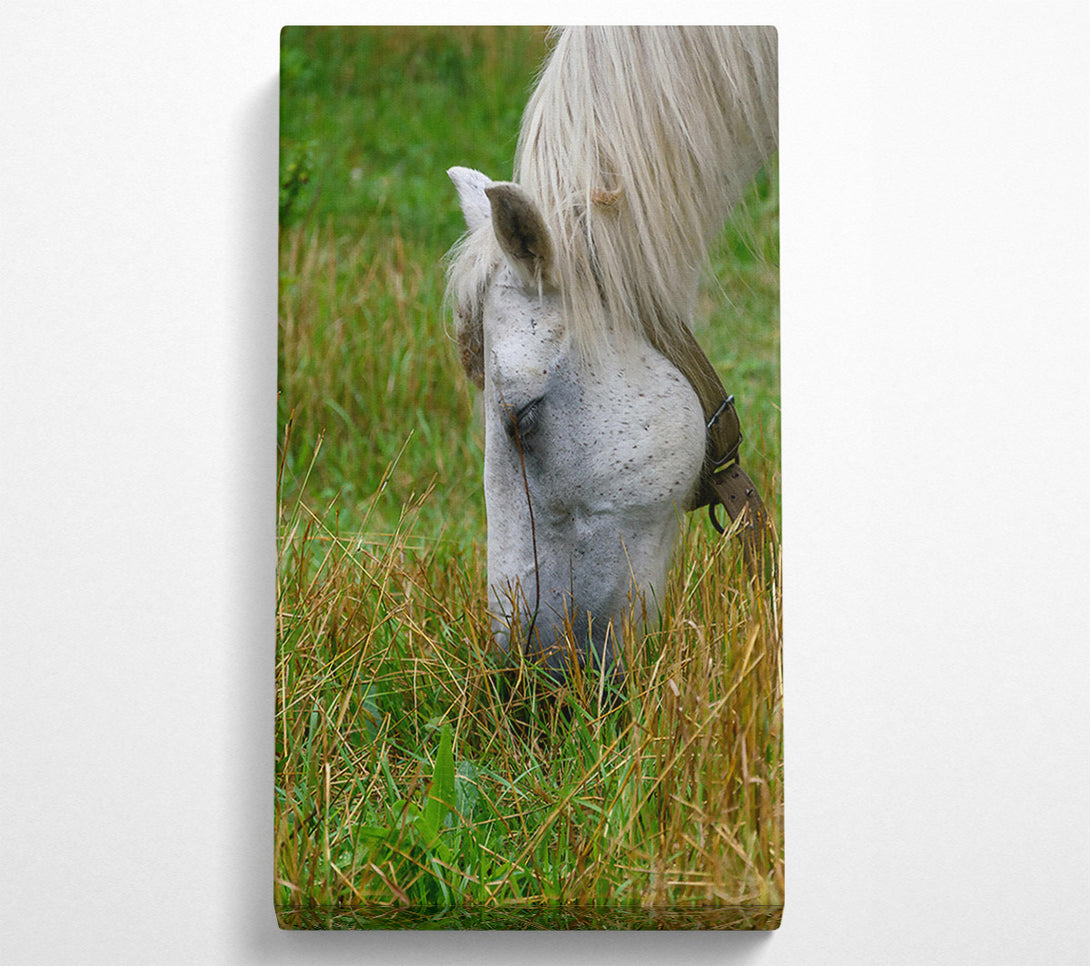  A Canvas Print of White Horse Grazing Green Grass Canvas Art