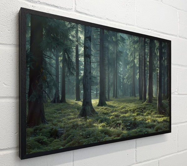Ancient Forest