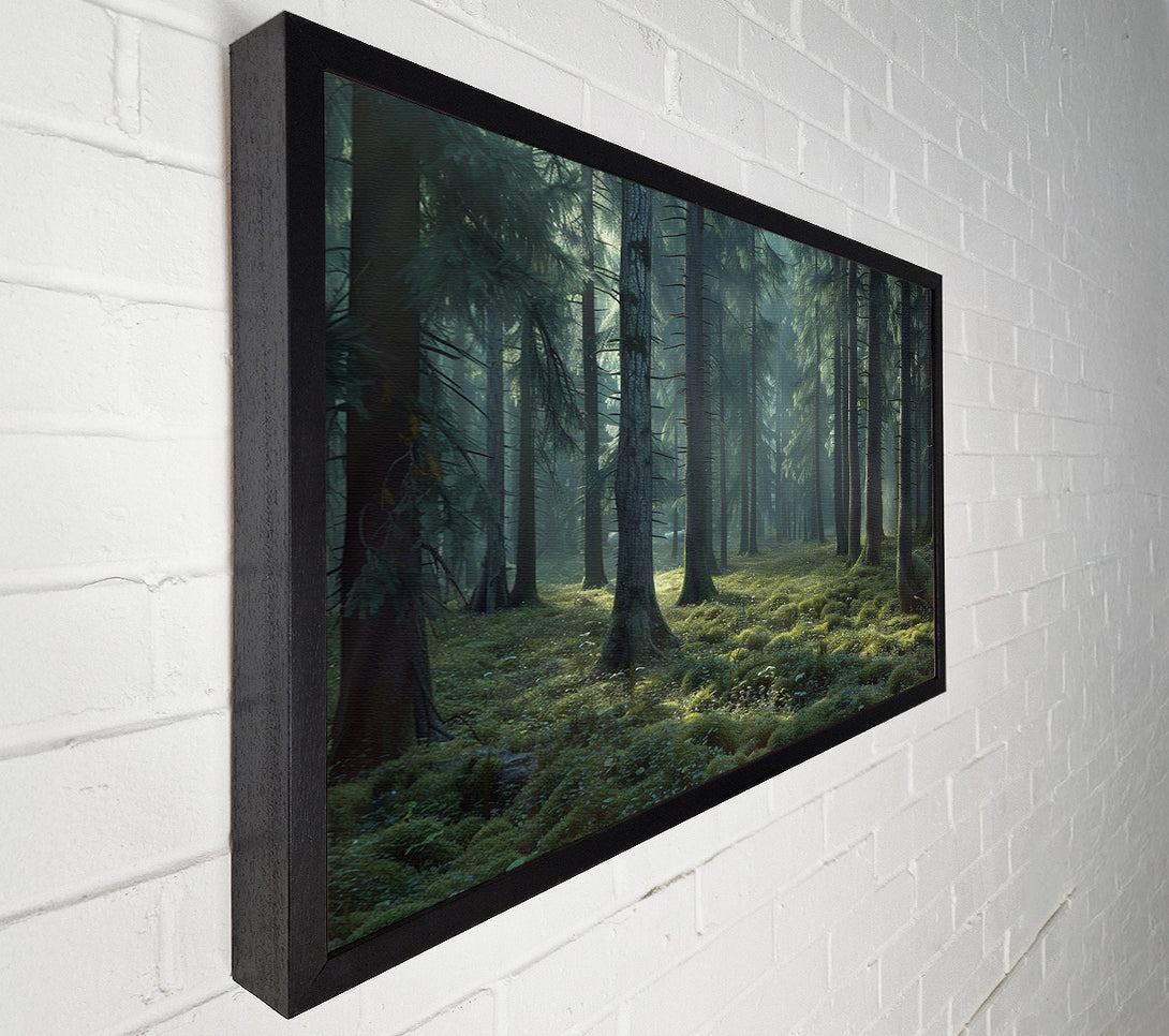  A Canvas Print of Ancient Forest Canvas Print