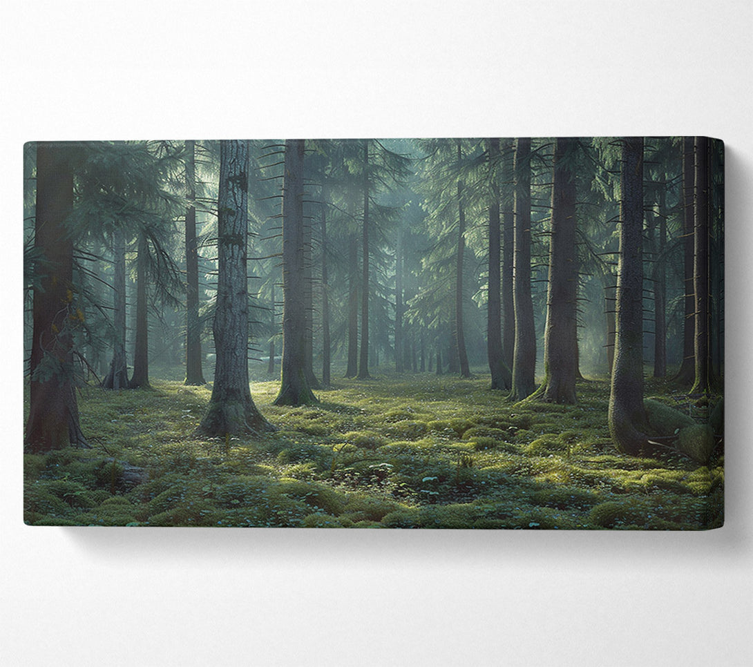  A Canvas Print of Ancient Forest Canvas Print