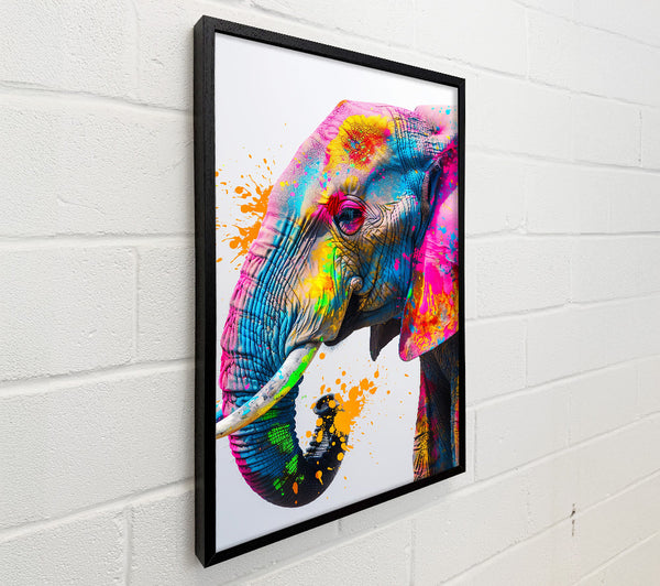 Orange Splashed Elephant