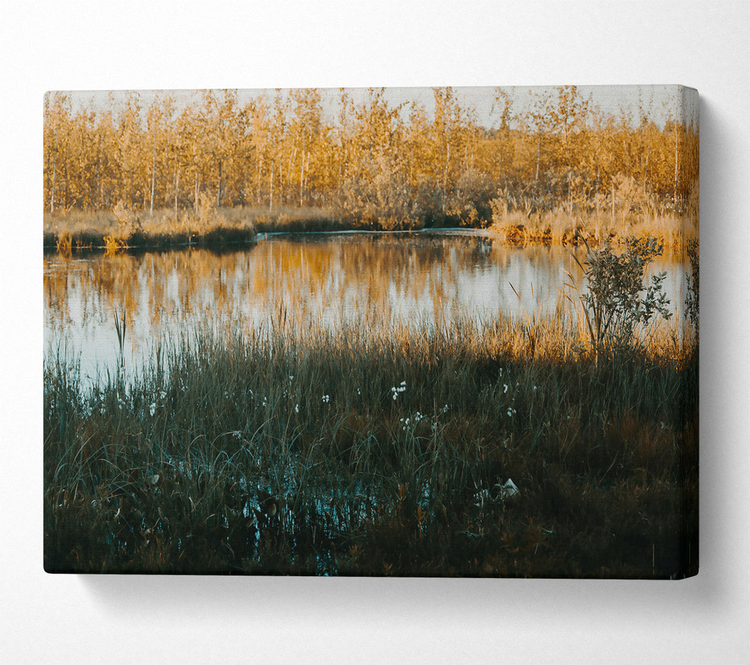  A Canvas Print of Golden Water Reflection Canvas Wall Art