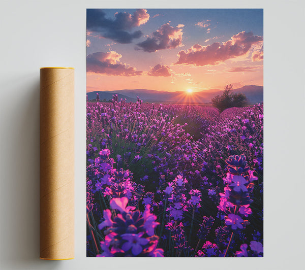 Purple Lavender Sunset Giclee Print