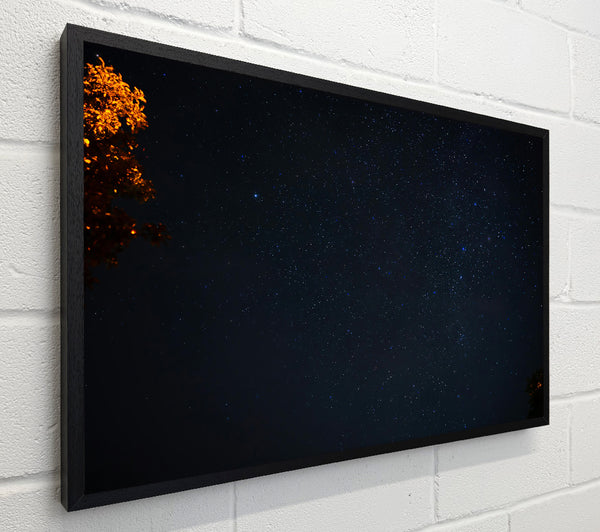Night Sky'S Embrace