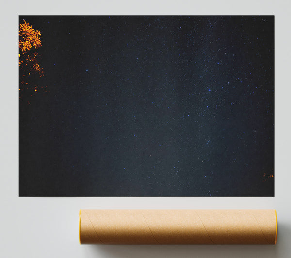 Night Sky'S Embrace Giclee Print