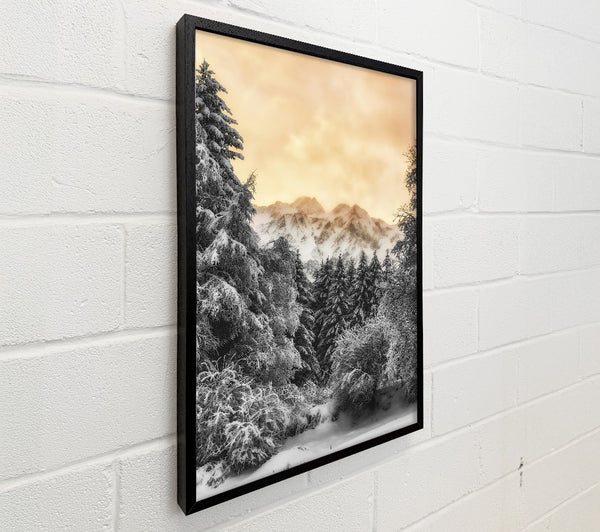 Golden Snowscape Pines