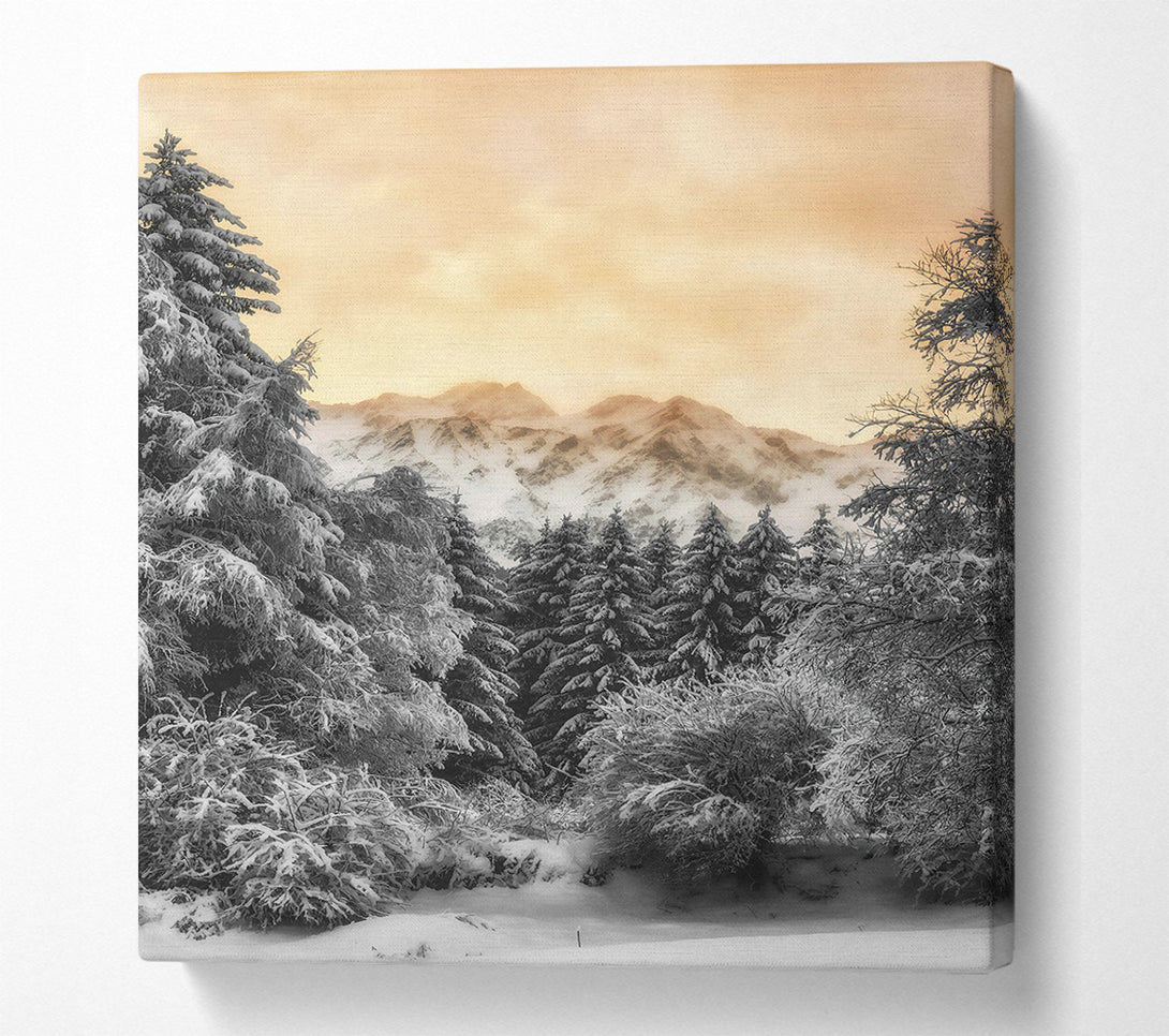  A Canvas Print of Golden Snowscape Pines Canvas Wall Art
