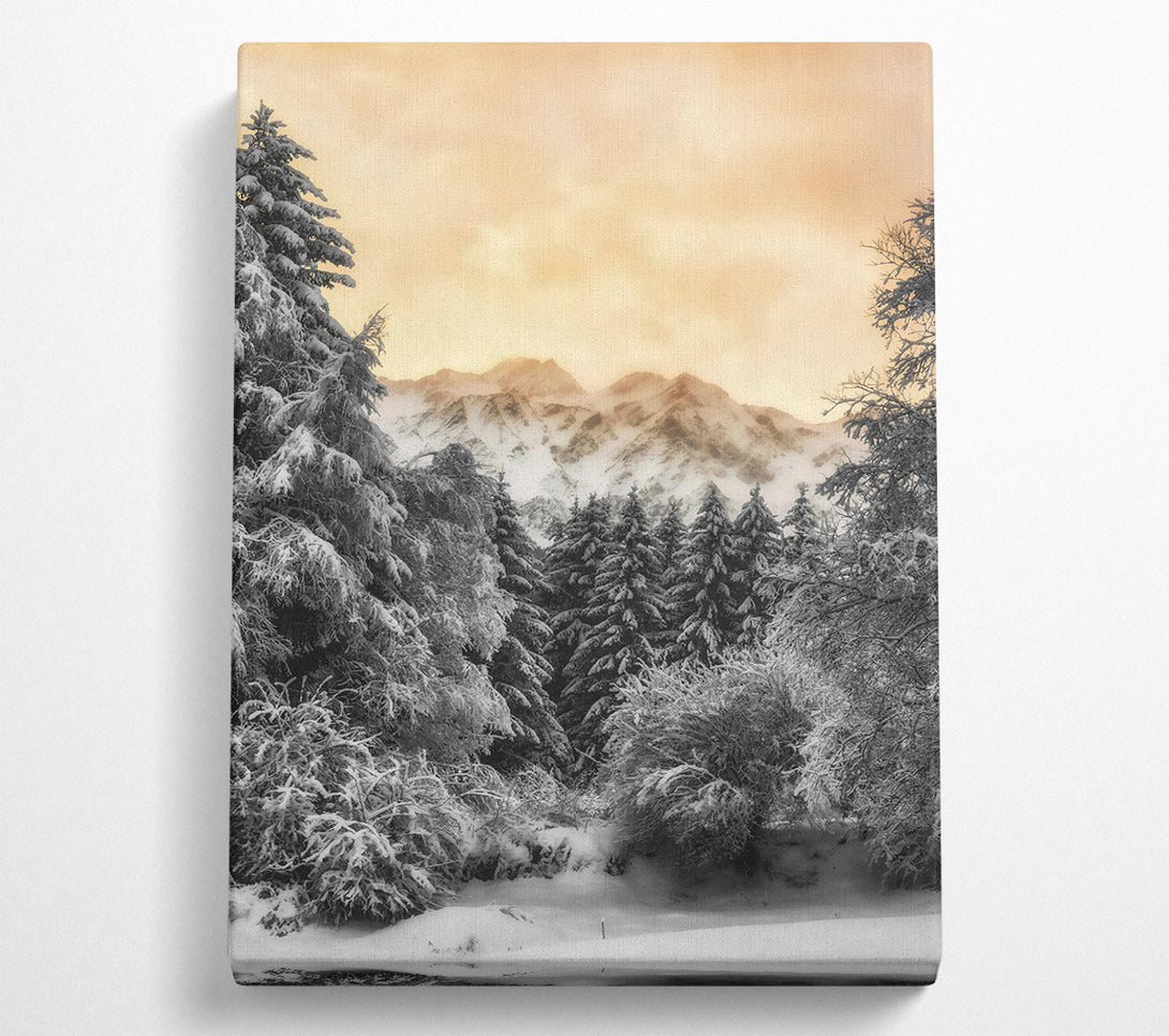  A Canvas Print of Golden Snowscape Pines Canvas Wall Art