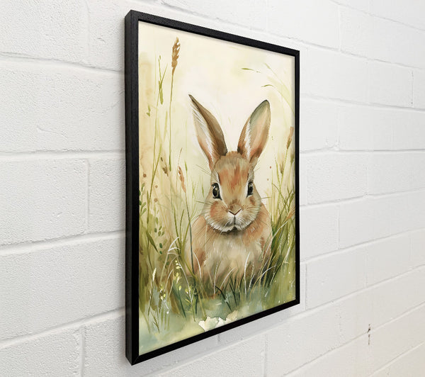Brown Bunny In The Grass