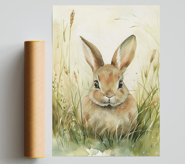 Brown Bunny In The Grass Poster