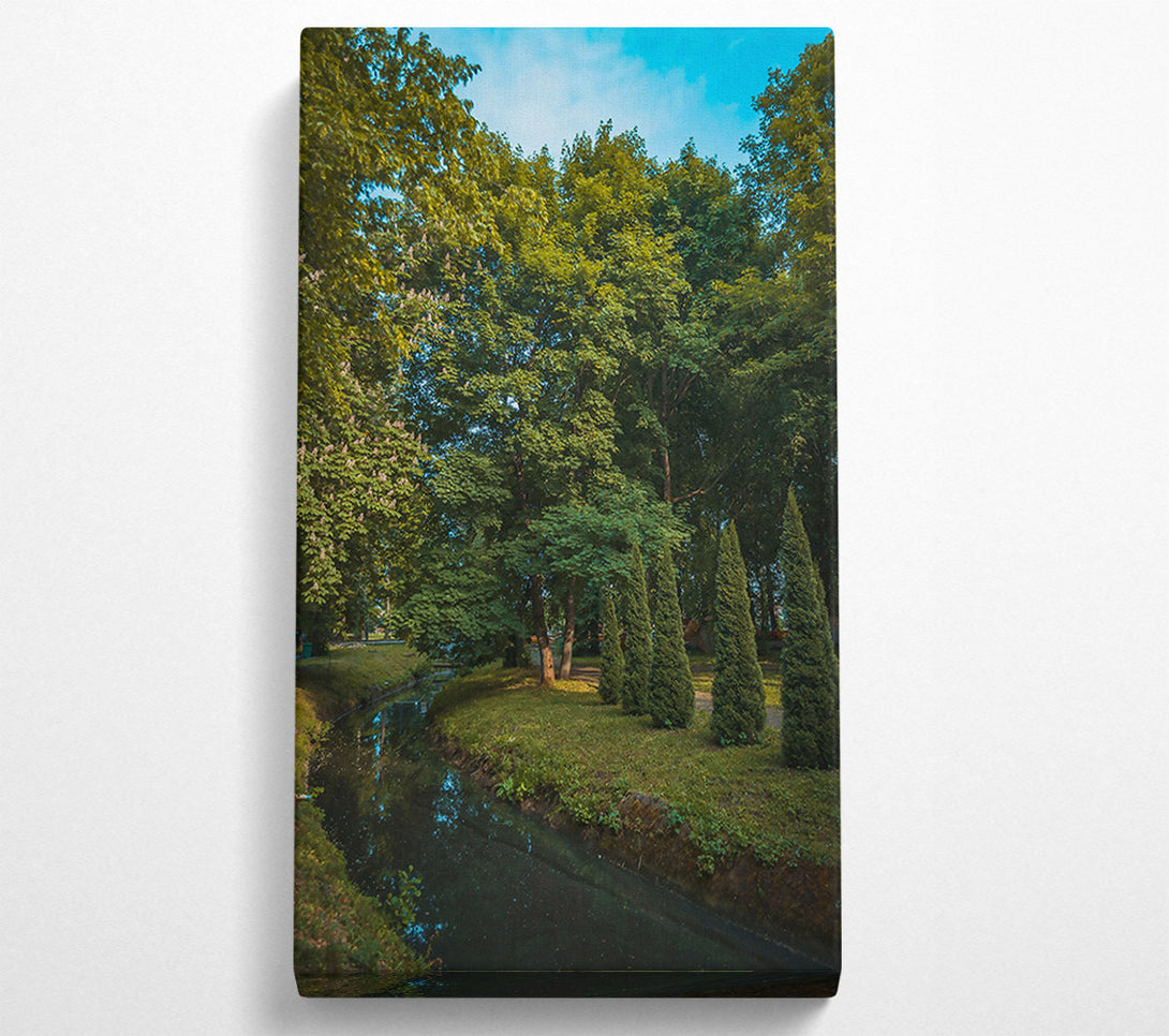  A Canvas Print of Green Stream Through Trees Canvas Art