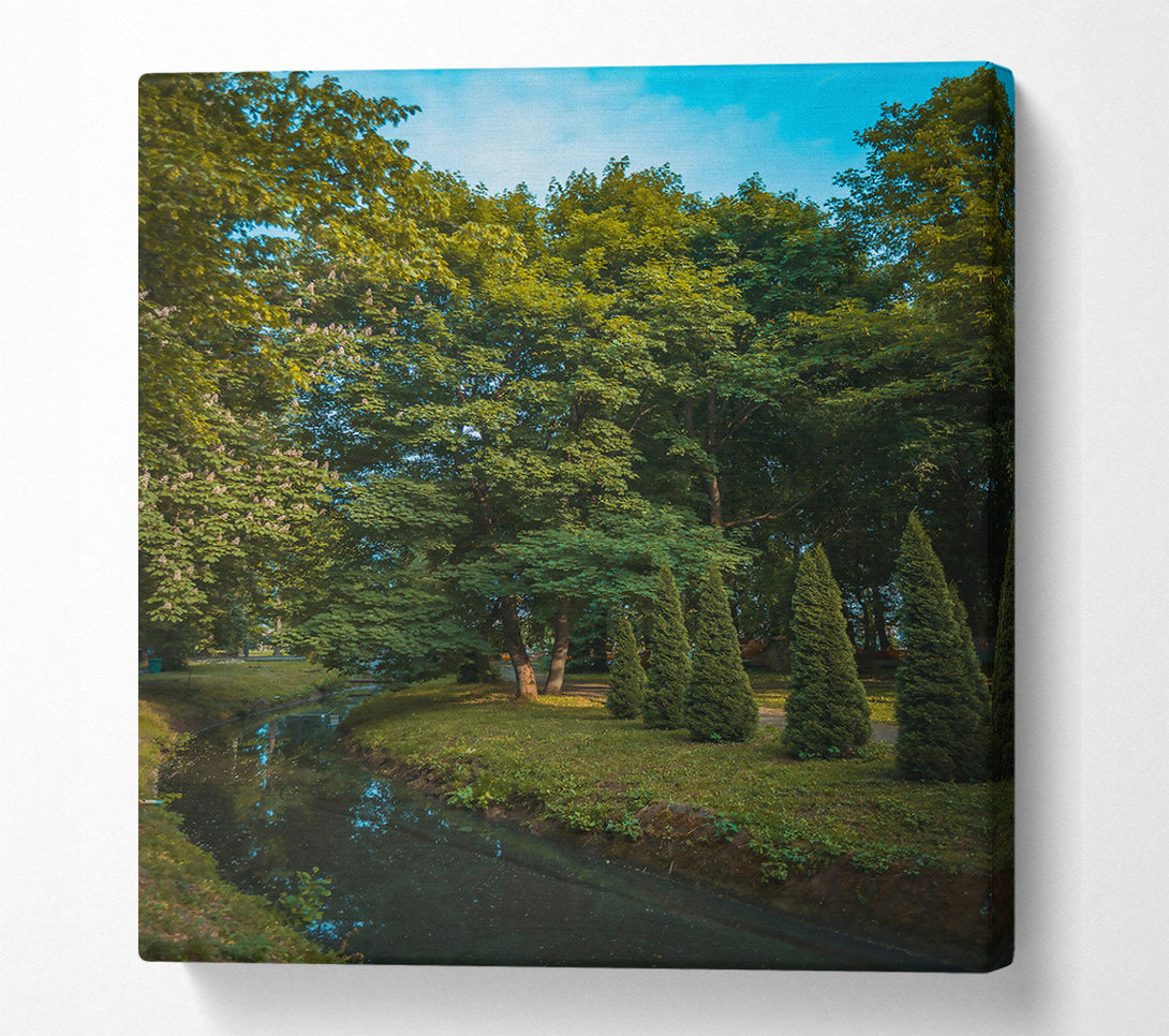  A Canvas Print of Green Stream Through Trees Canvas Art