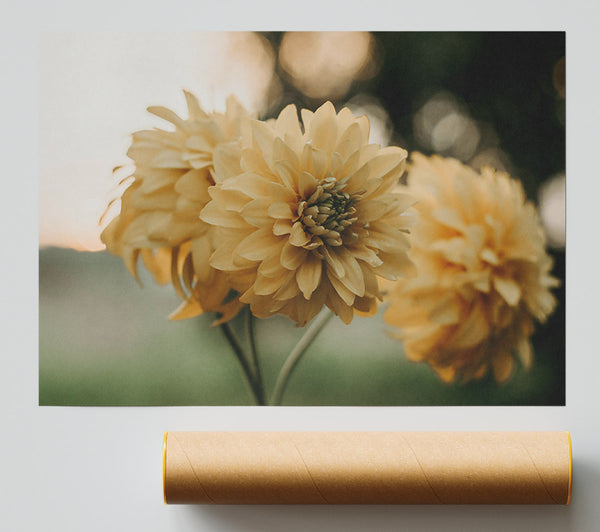 Golden Bloom Trio Poster