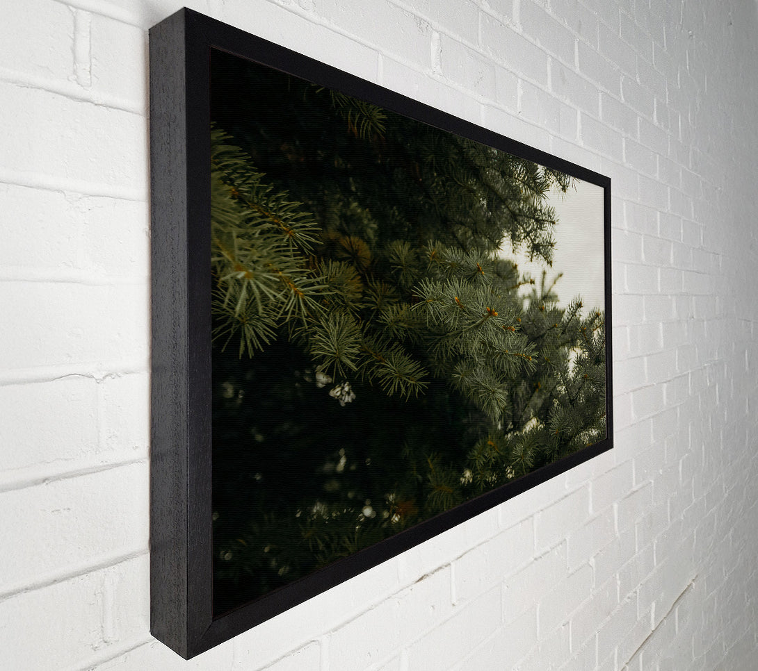  A Canvas Print of Evergreen Canopy Green Canvas Print