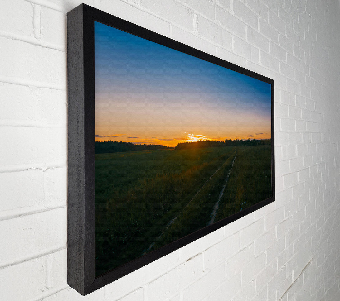  A Canvas Print of Golden Hour Path Canvas Wall Art