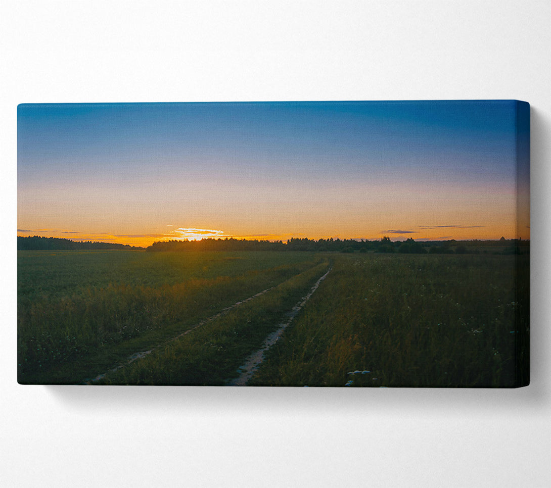  A Canvas Print of Golden Hour Path Canvas Wall Art